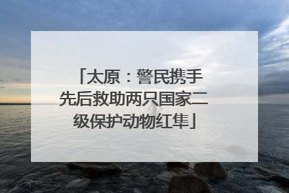 太原：警民携手 先后救助两只国家二级保护动物红隼